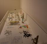 Octopus to the party