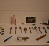 Octopus to the party