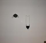 Octopus to the party