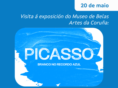 Visita Picasso