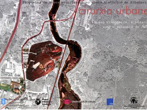 Folleto da exposición: Ciruxía urbana