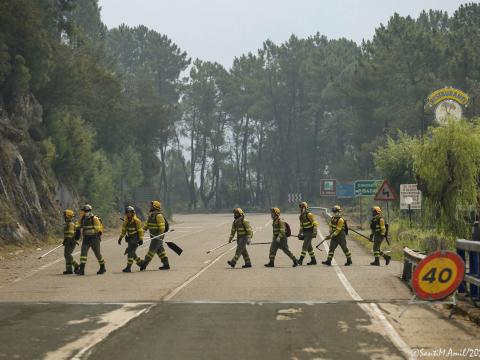 Bombeiros e Bombeiras forestais