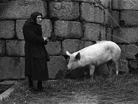 Muller vestida de negro cun porco ao carón do castelo de Ribavia.