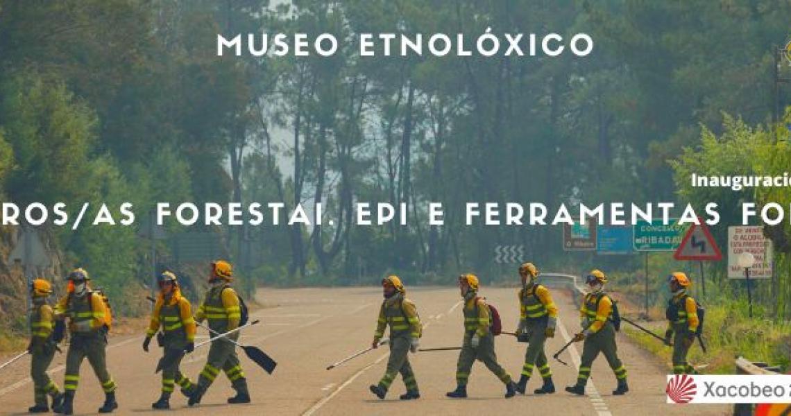 Bomberos y bomberas forestais