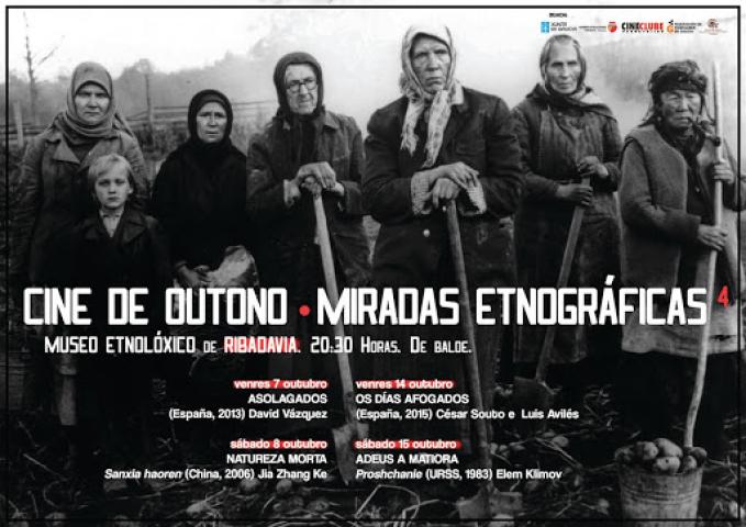 Cine outono