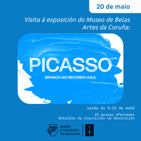Visita Picasso