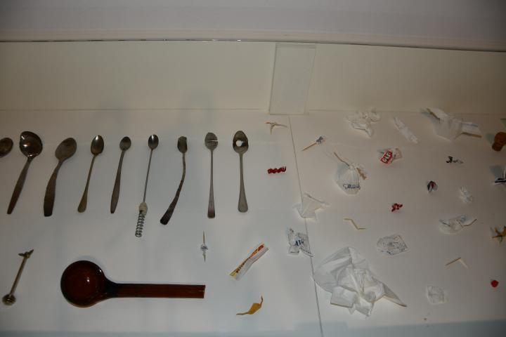 Octopus to the party