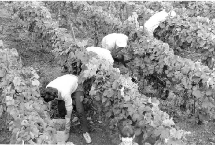 Fotografía de Santi M. Amil