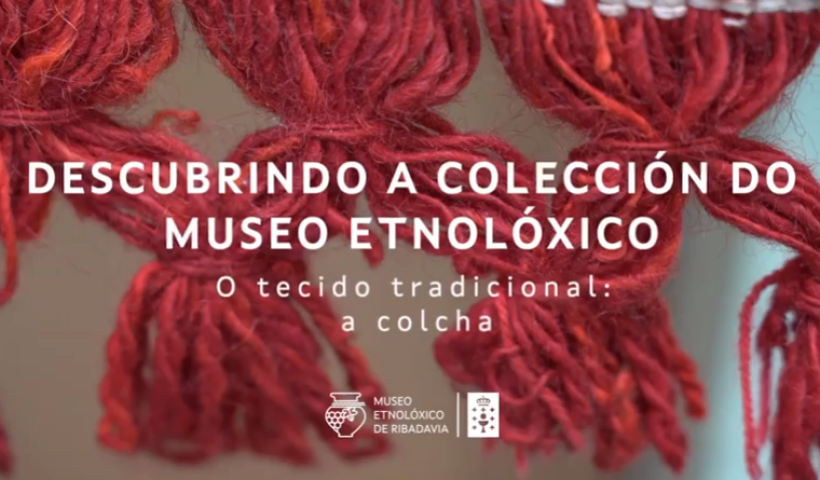 Descubrindo a colección do museo