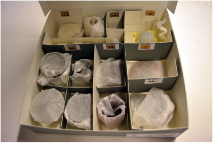 Caixa de conservación